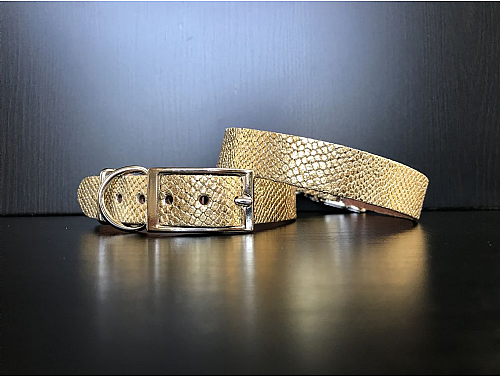 Gold Snake Skin - Leather Dog Collar - Size M